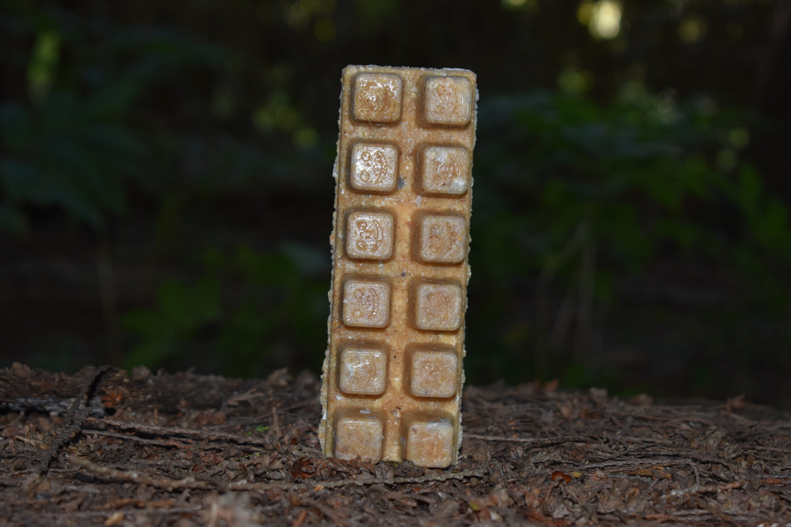 An upright bar of twelve Smile Starters showing the smile faces in a woodland setting