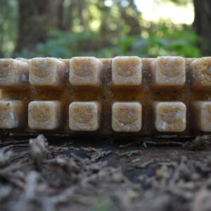 Twelve Smile Starters photographed on the forest floor with green woodland behind