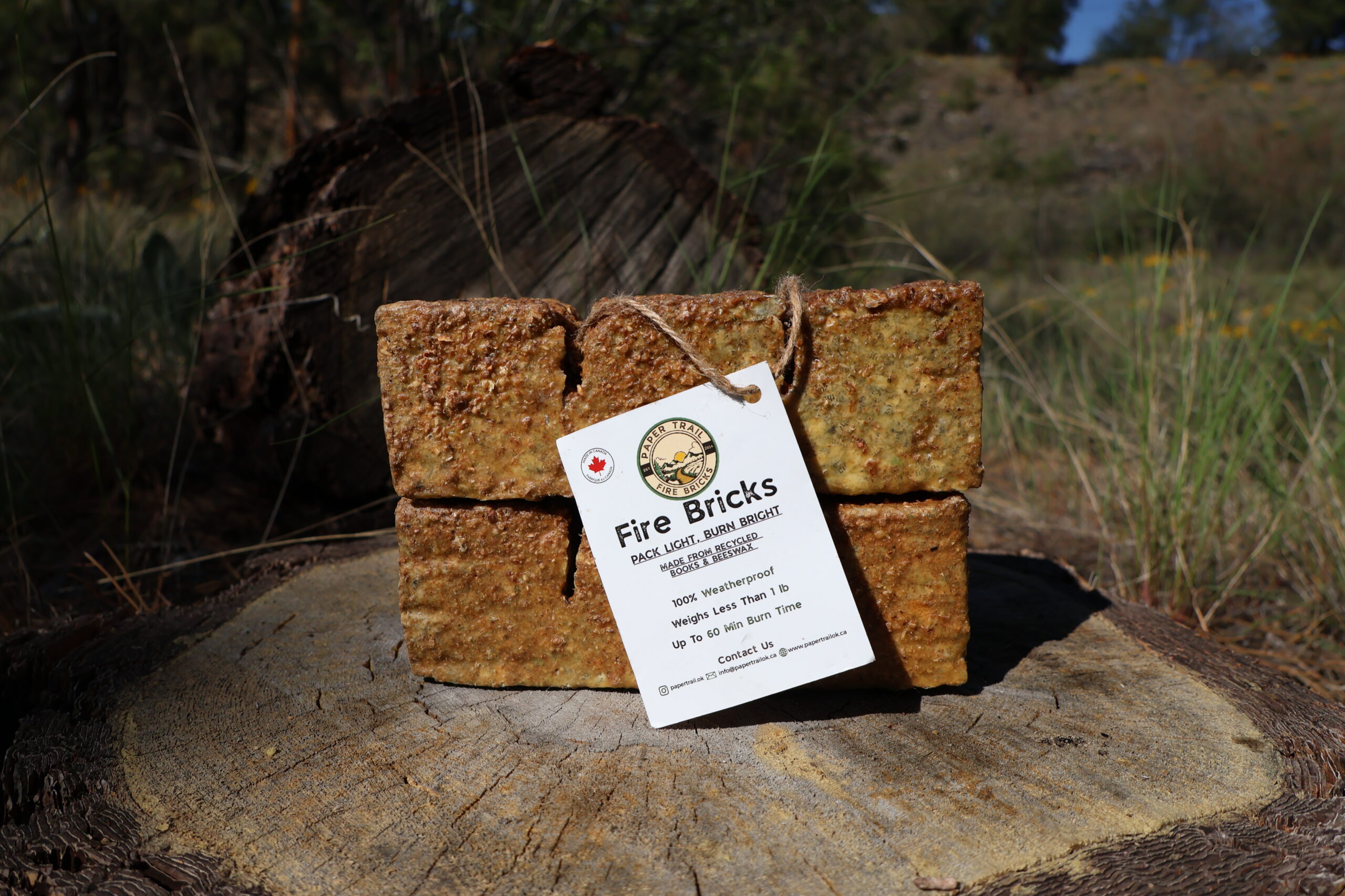 Two Original Paper Trail Fire Bricks bundled together on an outdoor tree stump